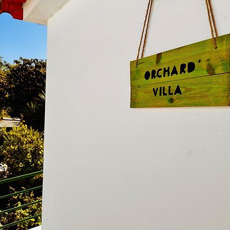 阿尔科巴萨Quinta Boa Vida别墅 外观 照片