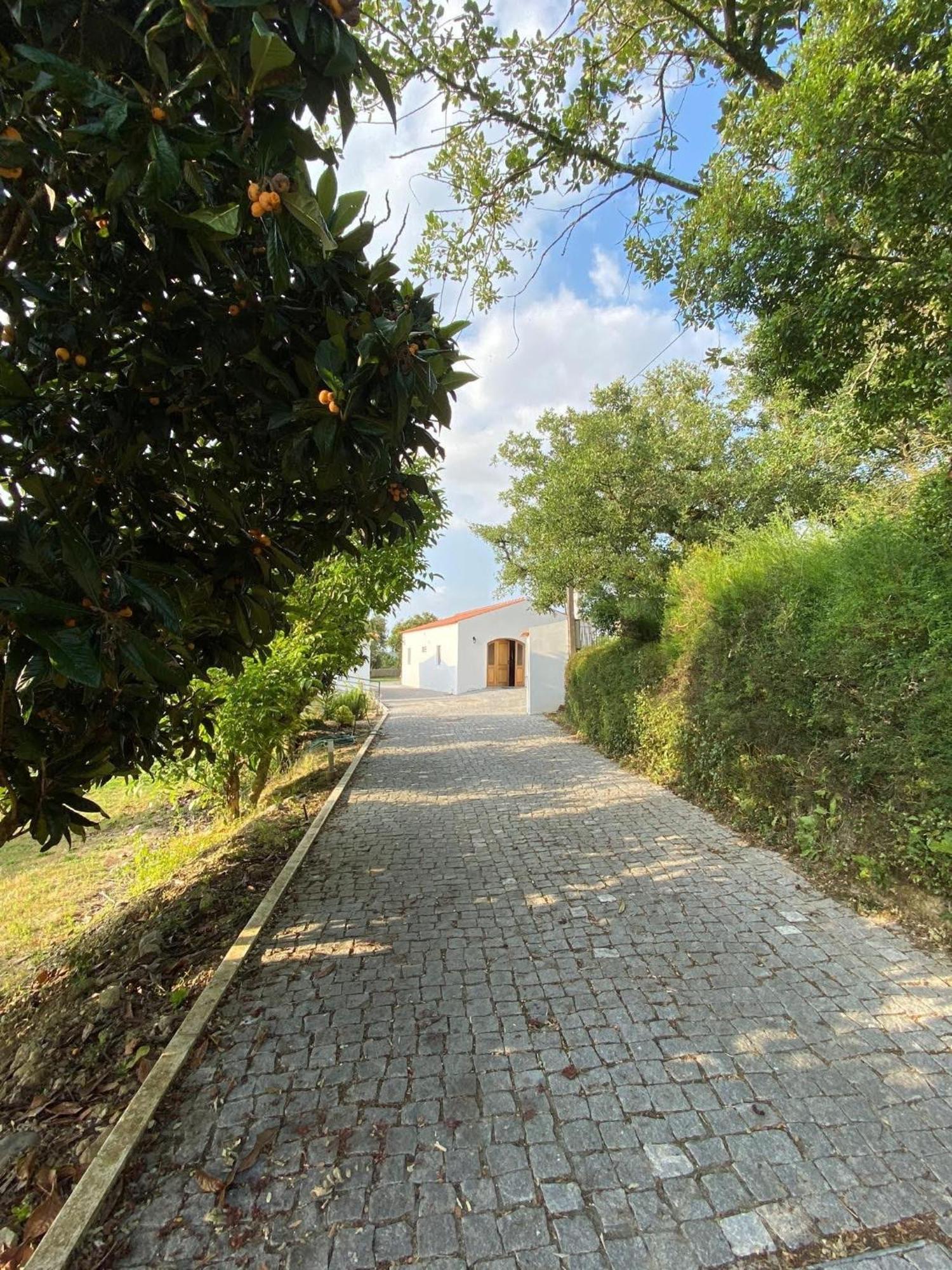阿尔科巴萨Quinta Boa Vida别墅 外观 照片